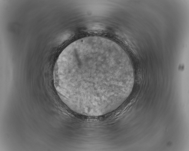 X0000094451297200711291650