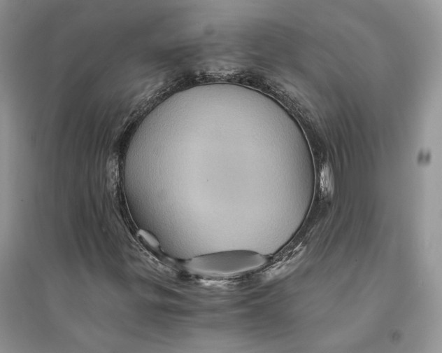 X0000094451299200711291650