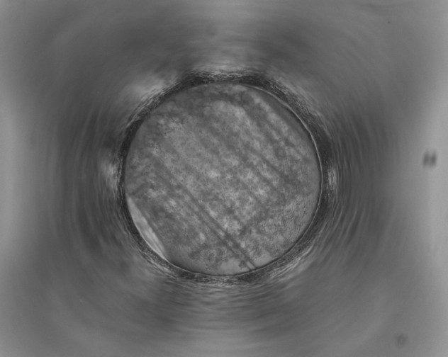 X0000094451300200711291650