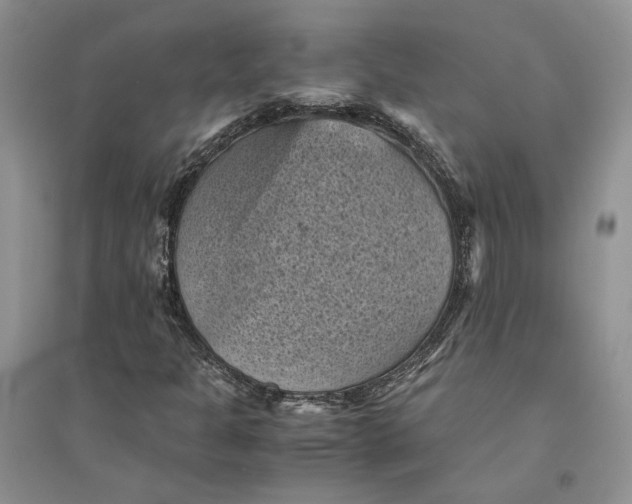 X0000094451301200711291650