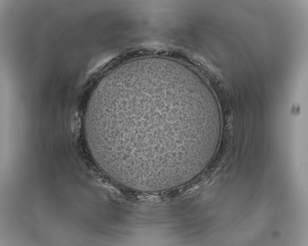 X0000094451302200711291650