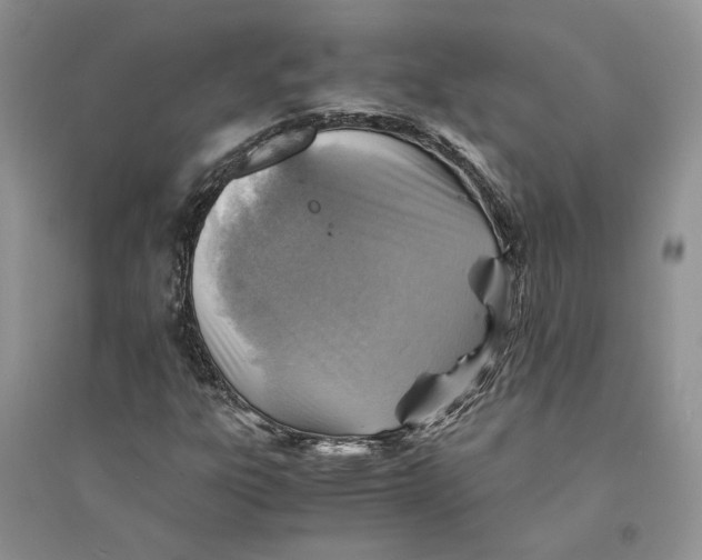 X0000094451303200711291650