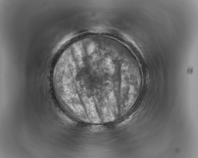 X0000094451304200711291650