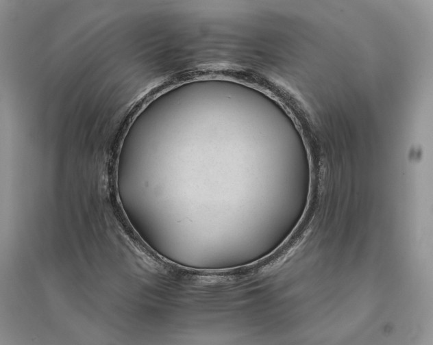 X0000094451305200711291650