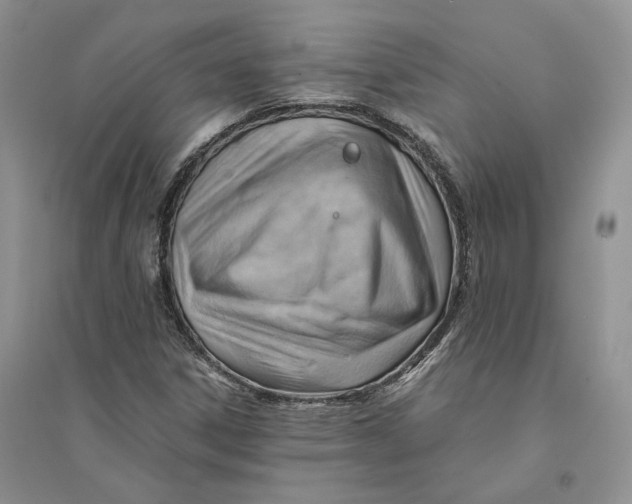 X0000094451306200711291650