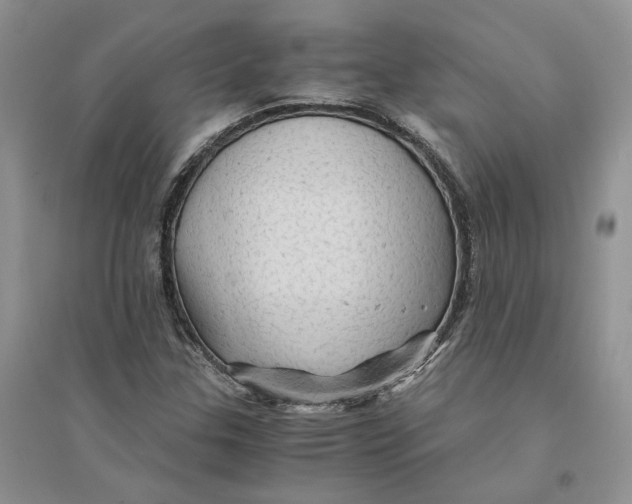 X0000094451307200711291650