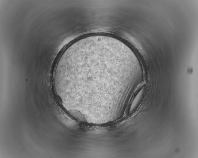 X0000094451308200711291650