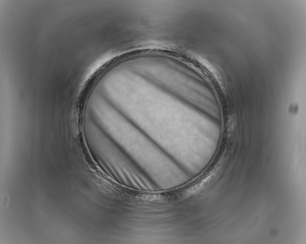 X0000094451310200711291650