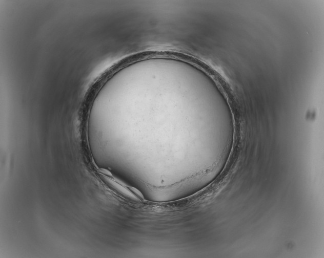 X0000094451311200711291650