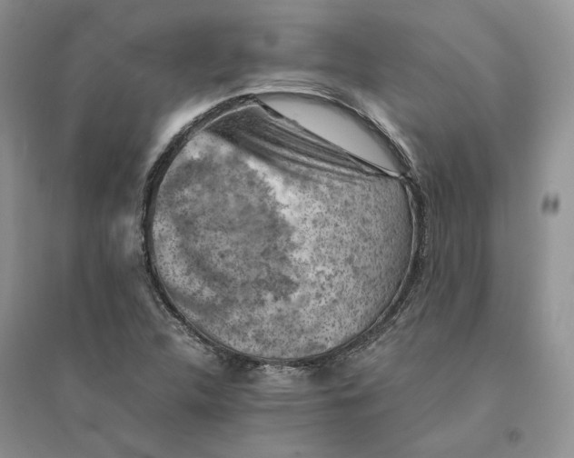 X0000094451312200711291650