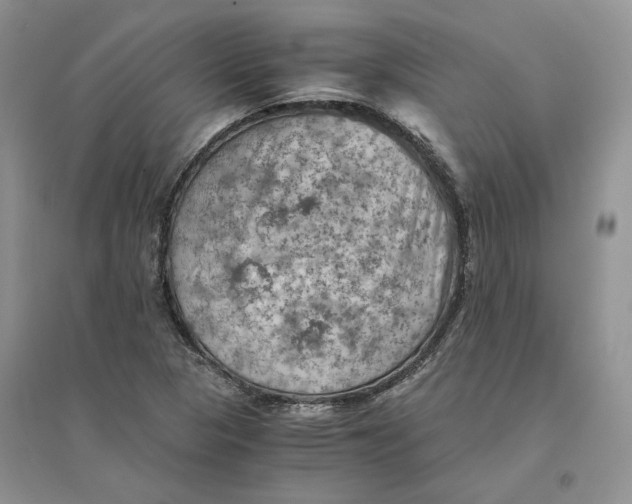 X0000094451313200711291650