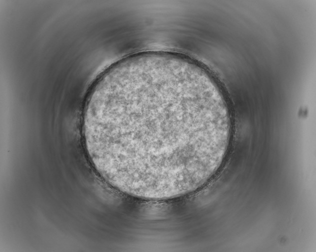 X0000094451314200711291650