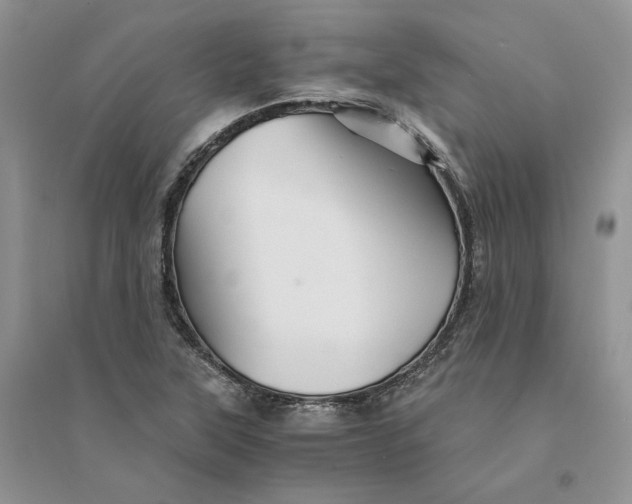 X0000094451315200711291650