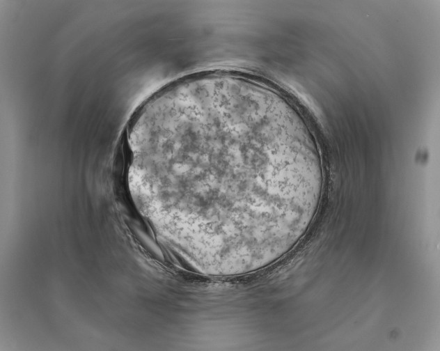 X0000094451316200711291650