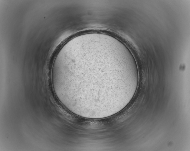 X0000094451318200711291650