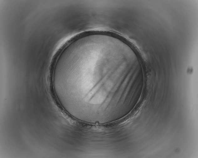 X0000094451319200711291650