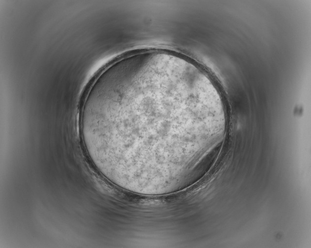 X0000094451320200711291650