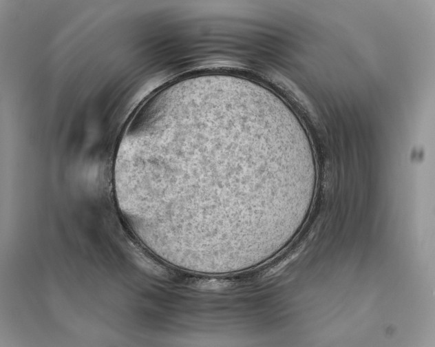 X0000094451321200711291650