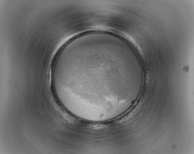 X0000094451323200711291650