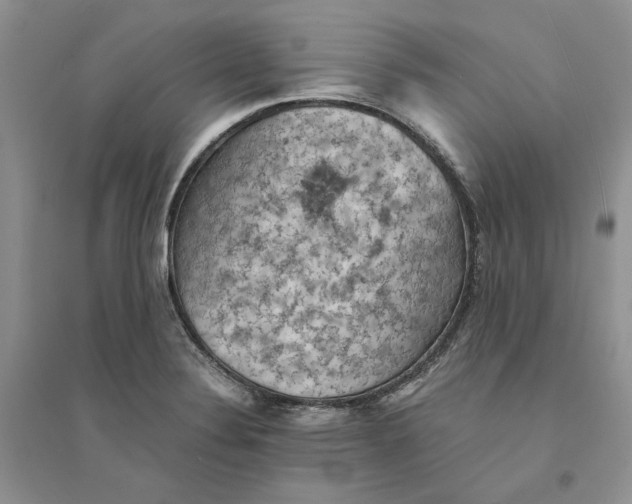 X0000094451324200711291650