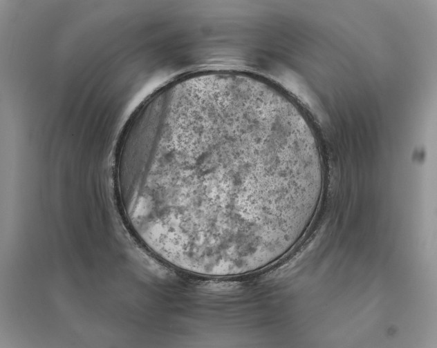 X0000094451325200711291650