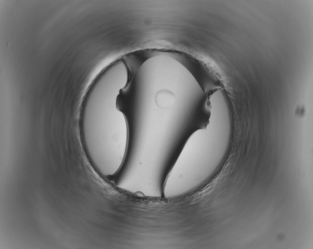 X0000094451326200711291650