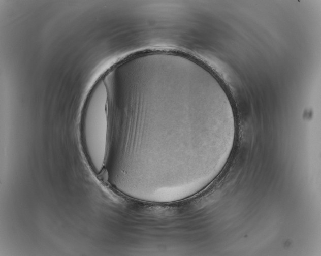 X0000094451327200711291650