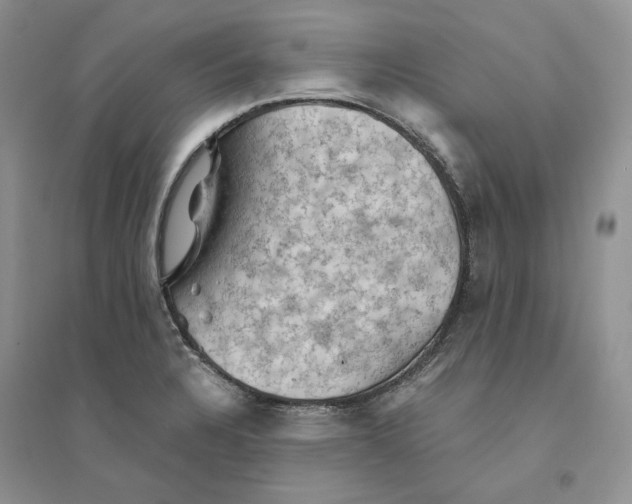 X0000094451328200711291650