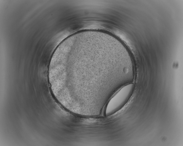 X0000094451329200711291650