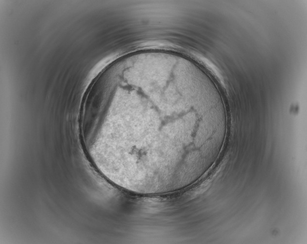 X0000094451330200711291650