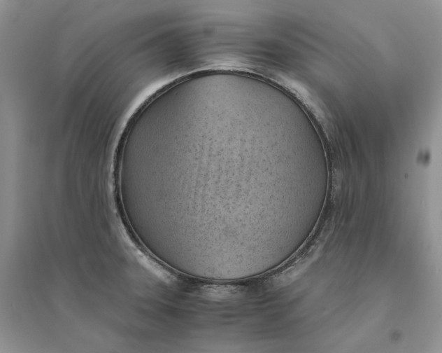 X0000094451331200711291650