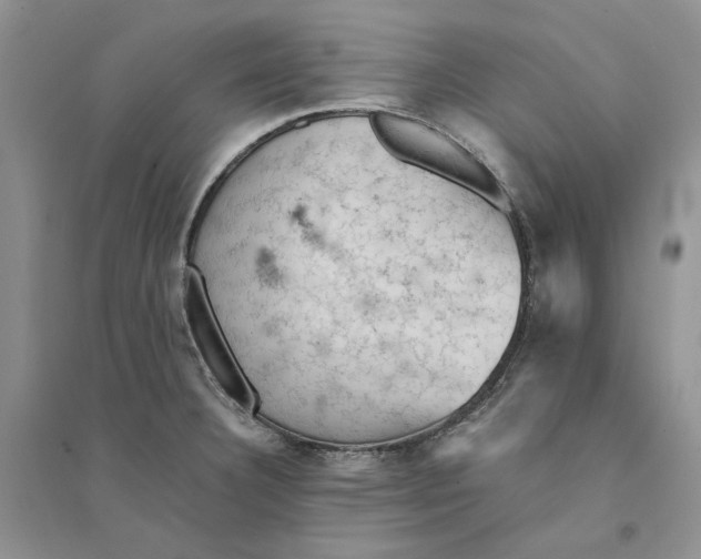 X0000094451332200711291650