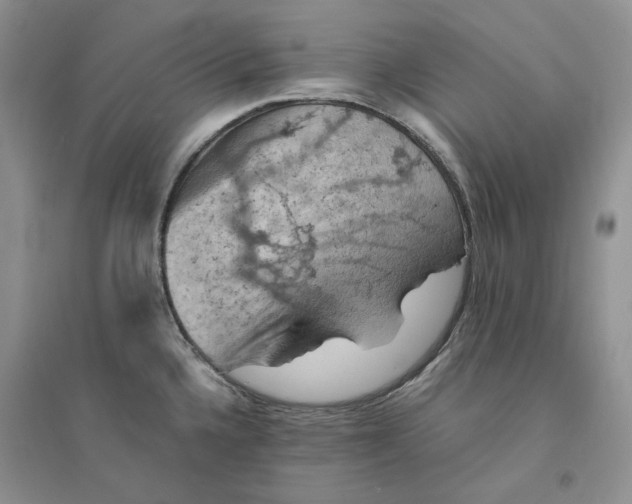 X0000094451336200711291650