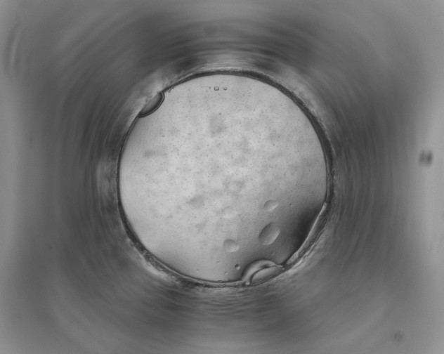 X0000094451337200711291650