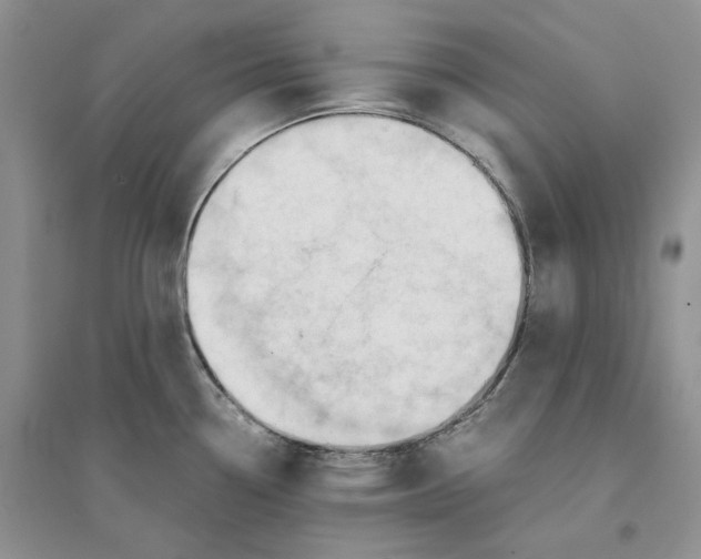 X0000094451338200711291650