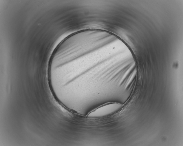 X0000094451339200711291650