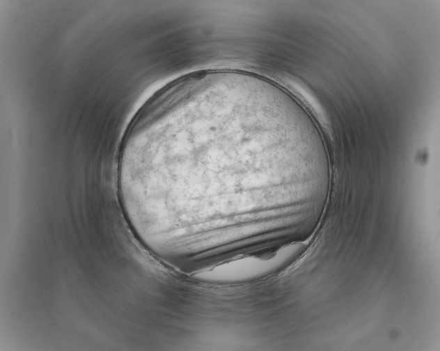 X0000094451340200711291650