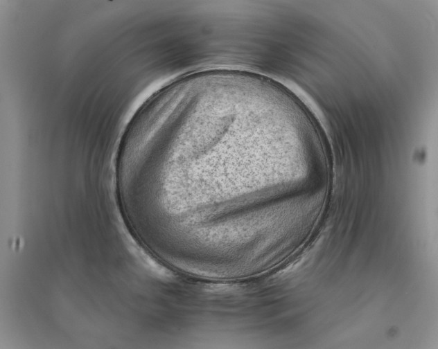 X0000094451341200711291650