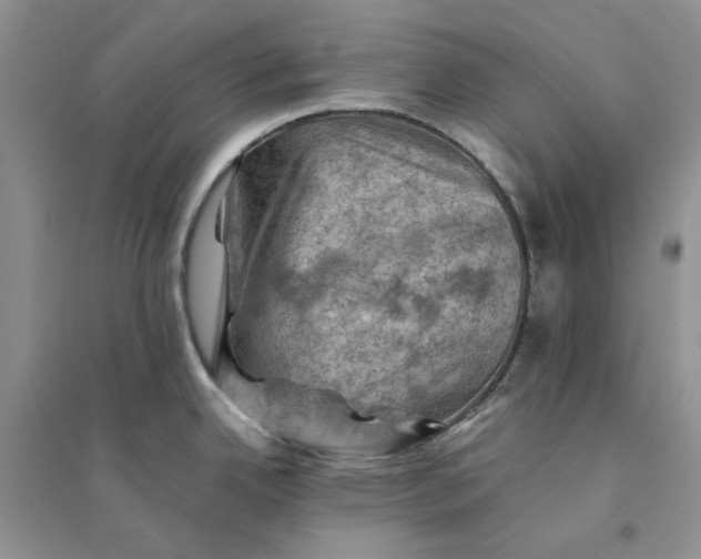 X0000094451342200711291650