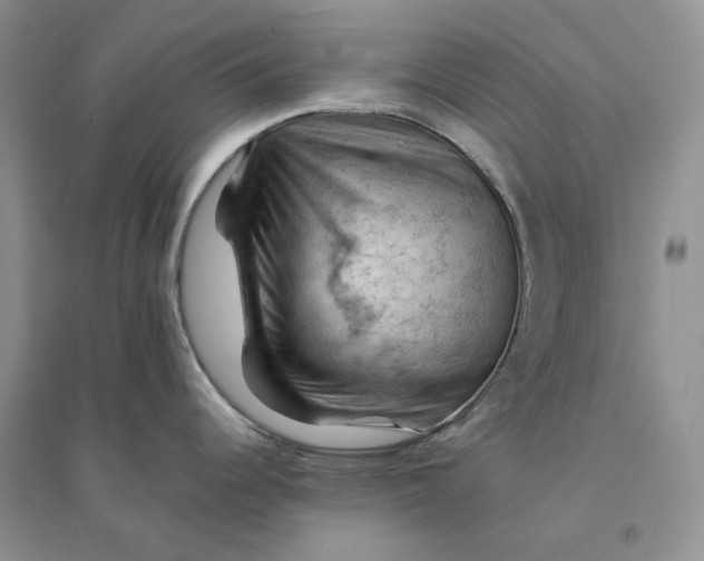 X0000094451344200711291650