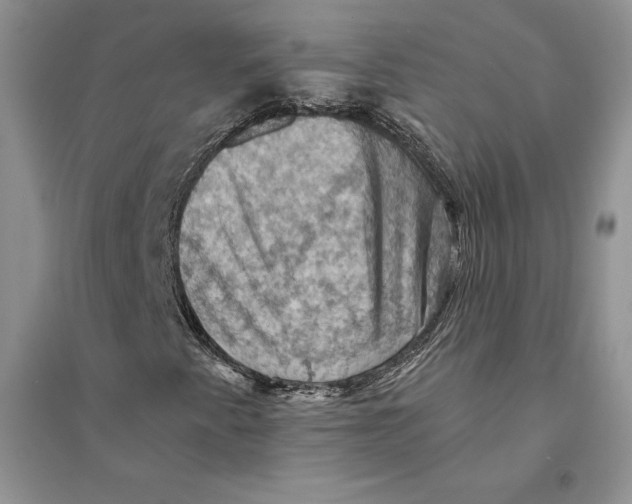 X0000094451345200711291650