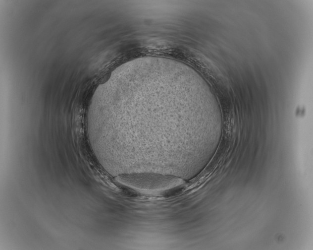 X0000094451346200711291650