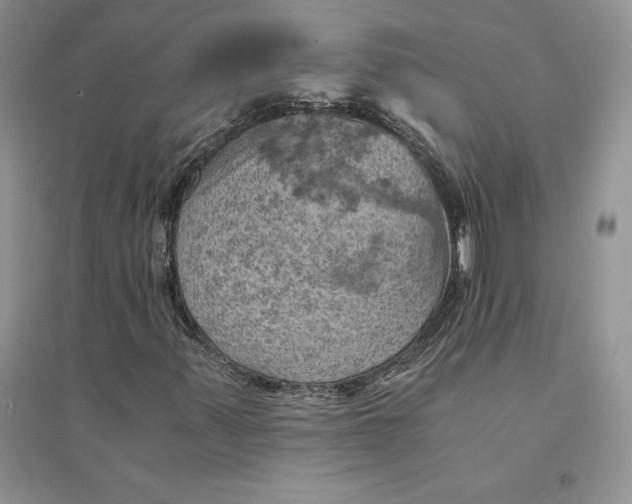 X0000094451347200711291650