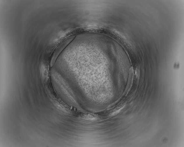 X0000094451348200711291650