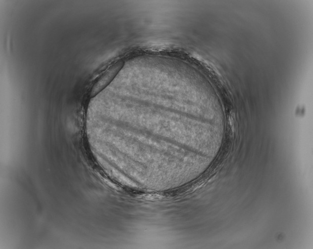 X0000094451349200711291650