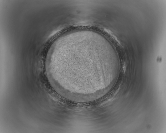 X0000094451350200711291650