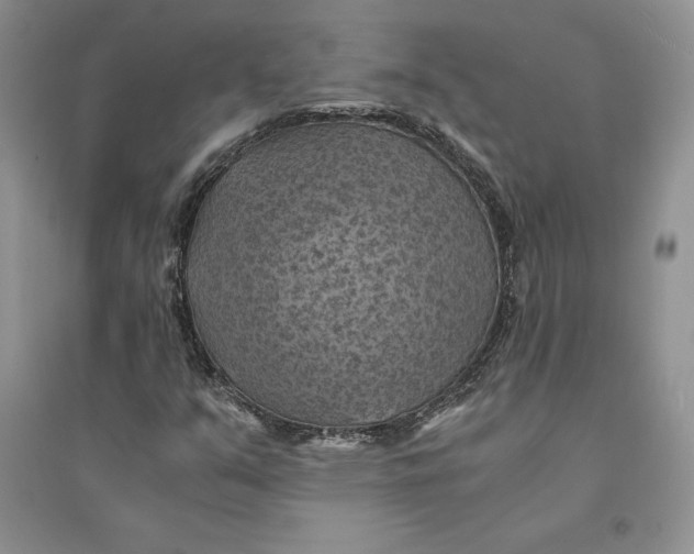 X0000094451351200711291650