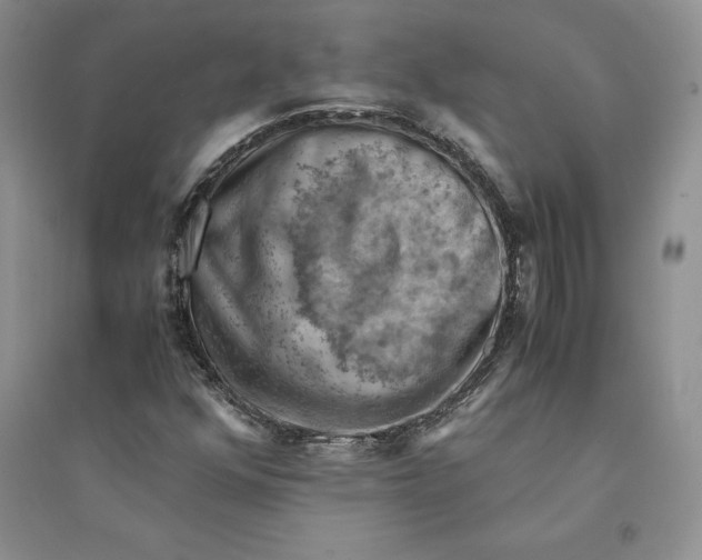 X0000094451352200711291650