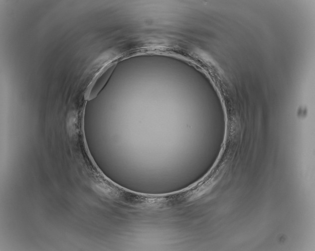 X0000094451353200711291650