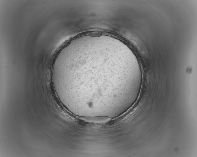 X0000094451355200711291650